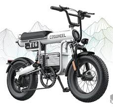 E-Bike T16 1000W